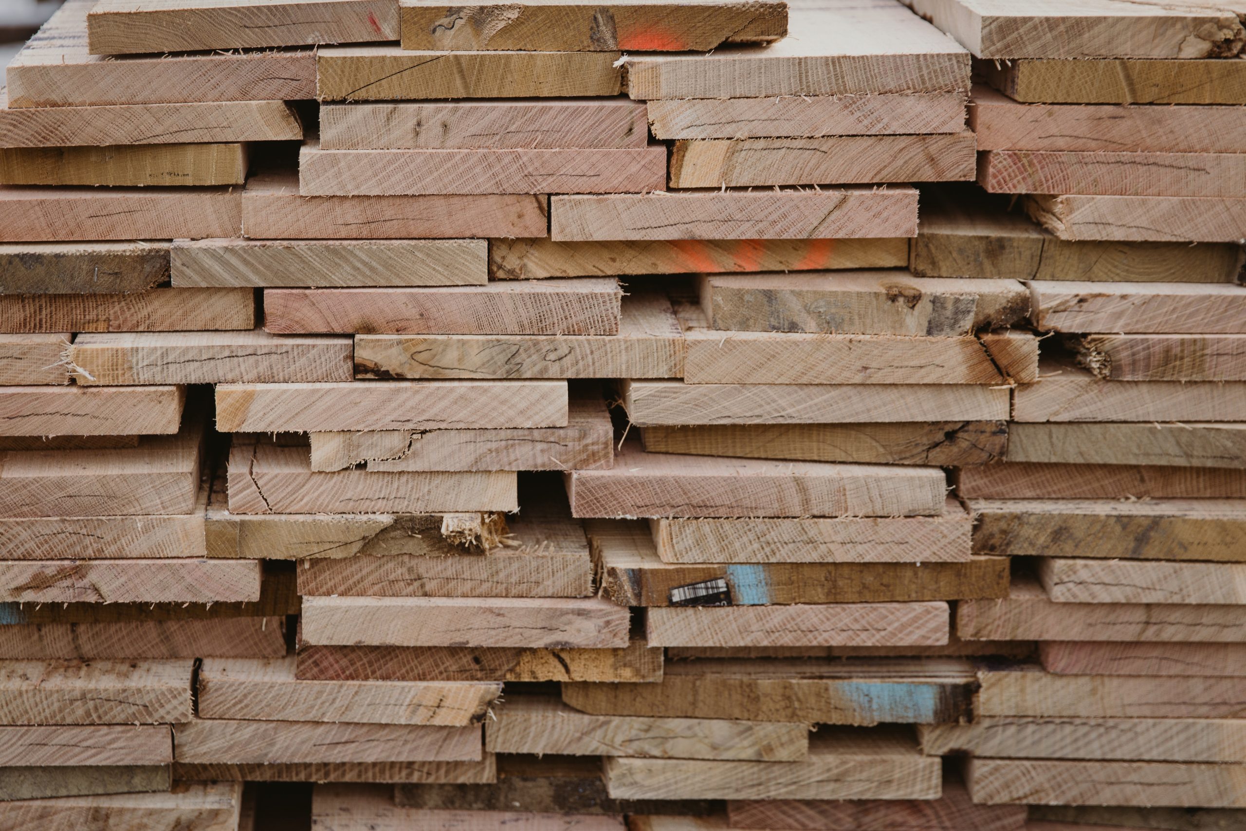 Stickered stacks of milled hardwood lumber