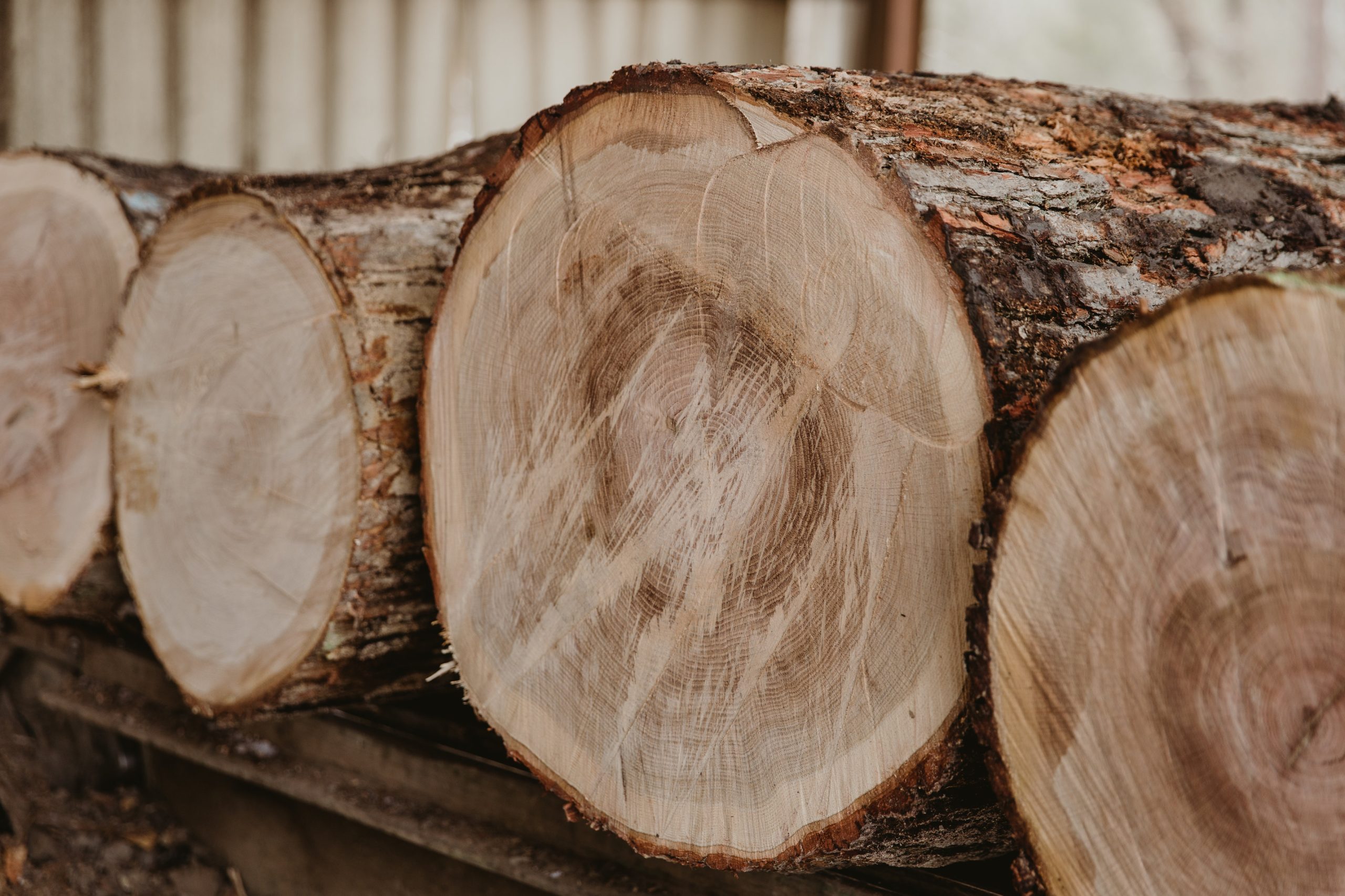 Log ends stacked in the Portsmouth Lumber Company yard
